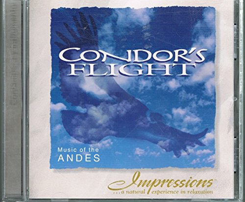 Condor's Flight