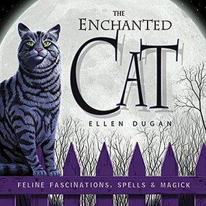The Enchanted Cat 
