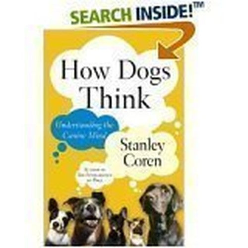 How Dogs Think Understanding the Canine Mind