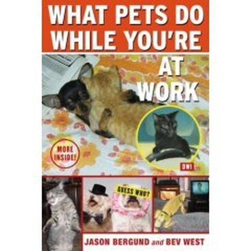 What Pets Do While You're At Work