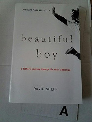 Beautiful Boy: A Father's Journey Through His Son's Addiction