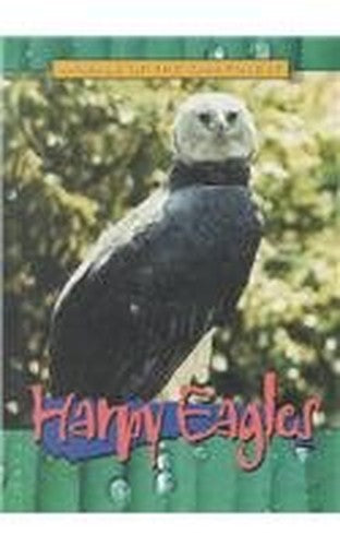 Harpy Eagles