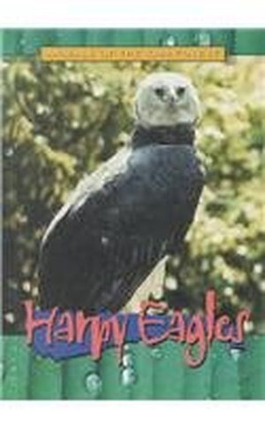 Harpy Eagles