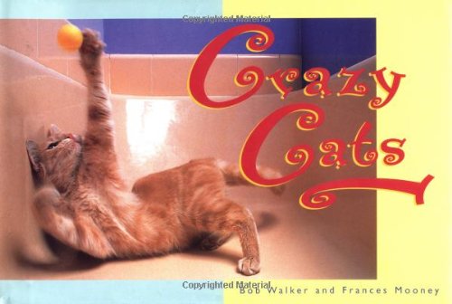 Why We Love Cats