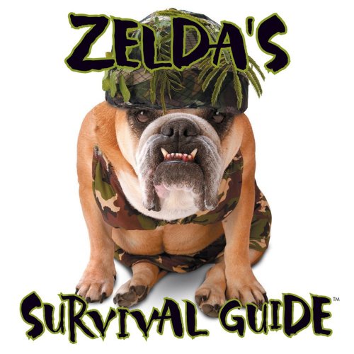 Zelda's Survival Kit