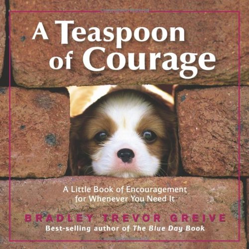 Teaspoon of Courage