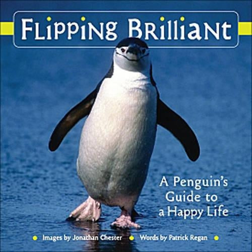 Flipping Brilliant
