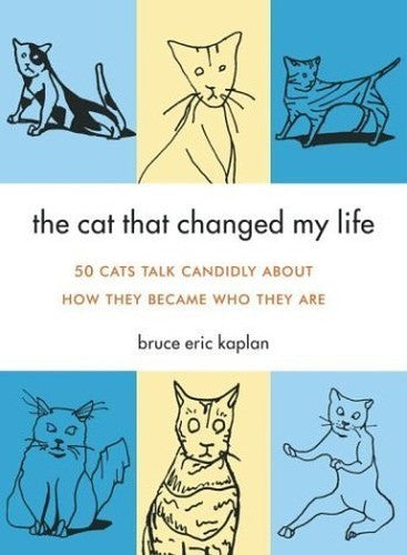 The Cat That Changed My Life