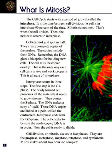All About Mitosis and Meiosis