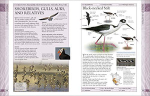 AMNH Birds of North America 