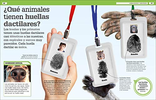 Increible pero cierto! Animales (It Can't Be True! Animals!)