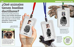 Increible pero cierto! Animales (It Can't Be True! Animals!)