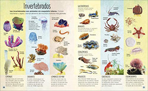 La La vida secreta de los oceanos (Earth's Incredible Oceans)