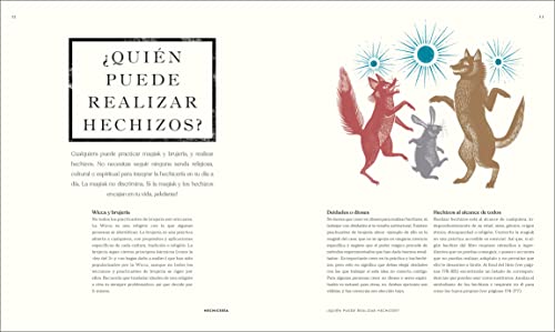 El libro de los hechizos (The Book of Spells)