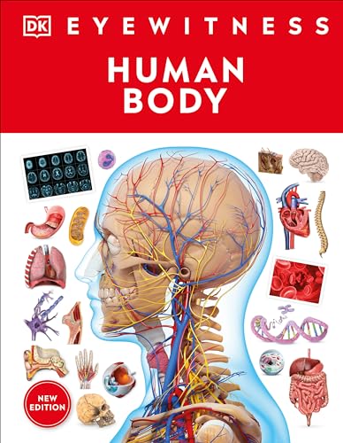 Eyewitness Human Body