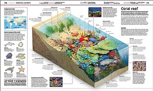 Knowledge Encyclopedia 