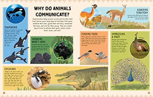 Animal Talk 