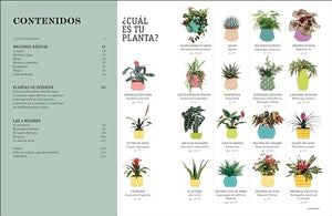 Cómo no matar tus plantas (How Not to Kill Your Houseplant) 