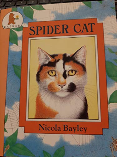 Spider Cat