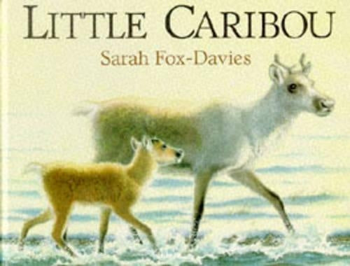 Little Caribou