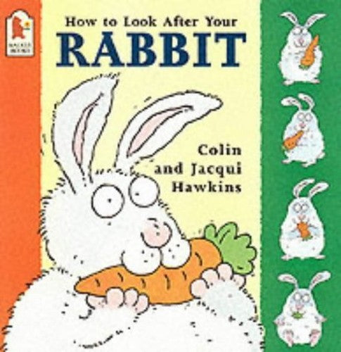 How To Look After Your Rabbit