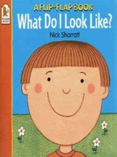 What Do I Look Like