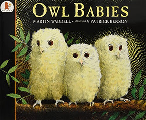 Owl Babies 