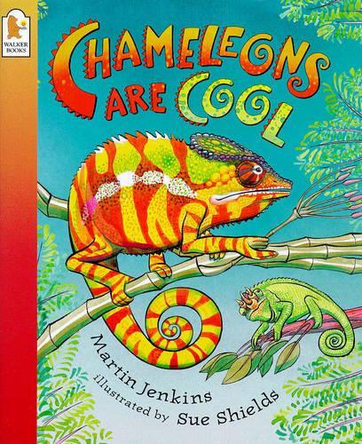 Chameleons Are Cool