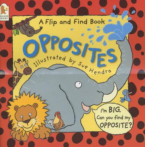 Flip And Find Opposites