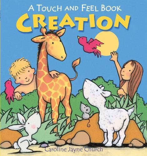 Creation Touch and Feel