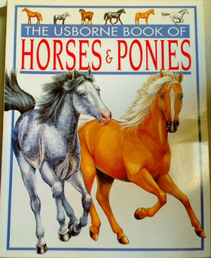 The Usborne Book of Horses and Ponies