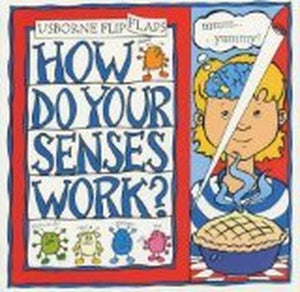 How do your senses work? 