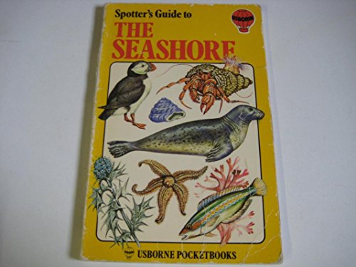 Seashore