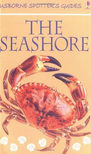 The Seashore