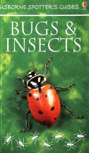 Bugs and Insects 