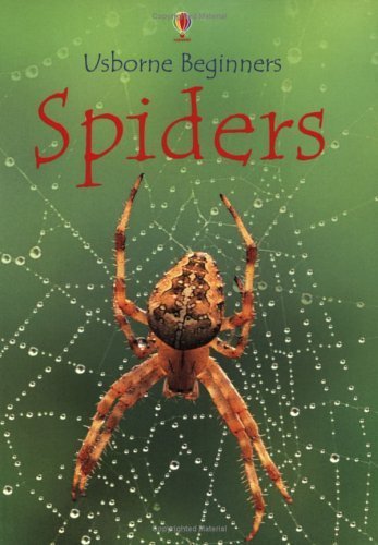 Spiders