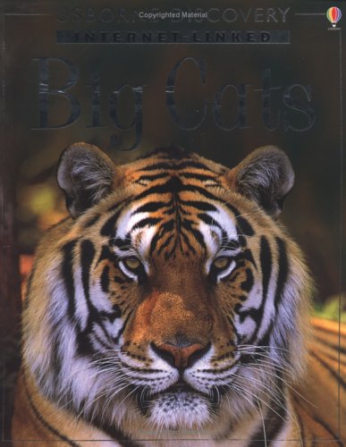 Big Cats