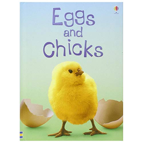 Eggs and Chicks