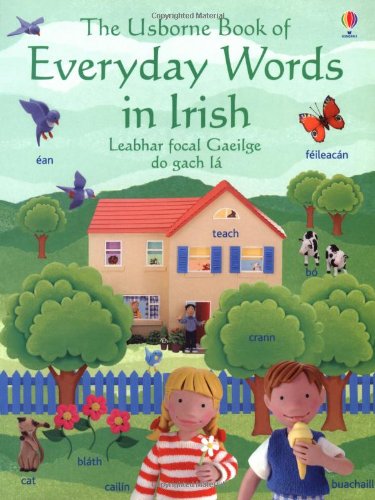 Everyday Words in Irish