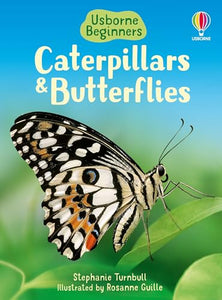 Caterpillars and Butterflies 