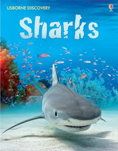 Discovery Sharks
