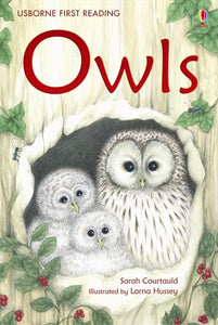 Owls 