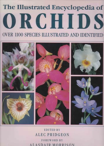 Illustrated Encyclopedia of Orchids
