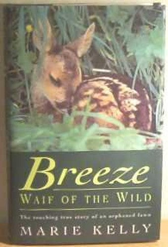 Breeze