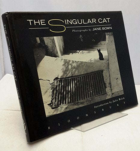 The Singular Cat