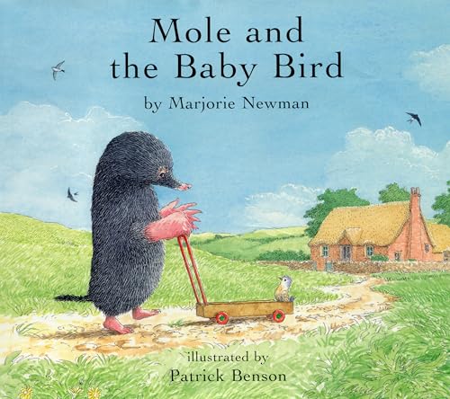 Mole and the Baby Bird