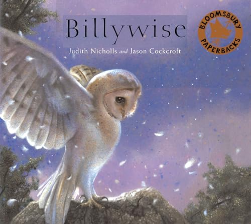 Billywise