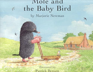 Mole and the Baby Bird 