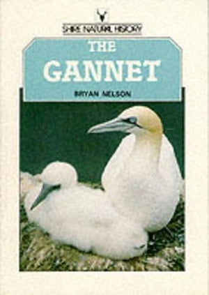 The Gannet