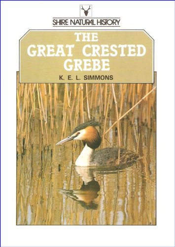 The Great Crested Grebe